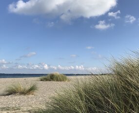 Der Strand in Kopenhagen