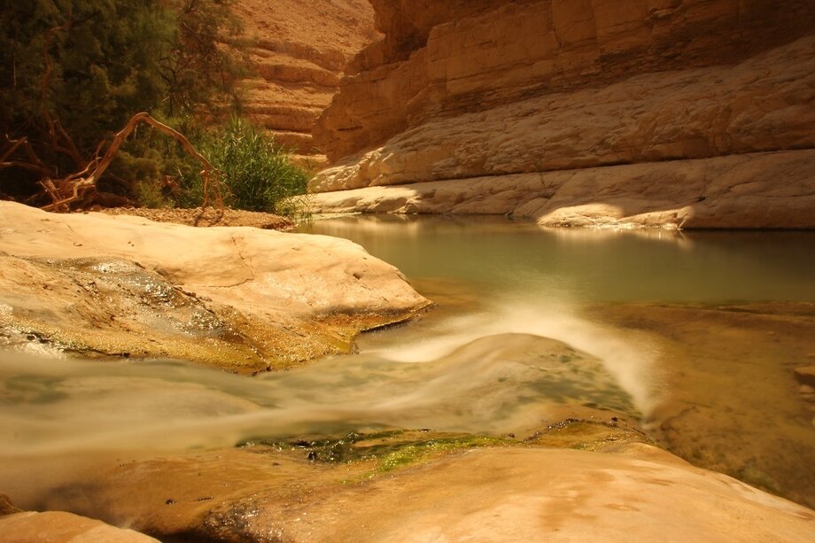 Ein Gedi eine Oase in der Wueste