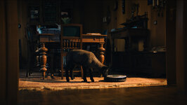 HMS Das Lamm im Raum Still01